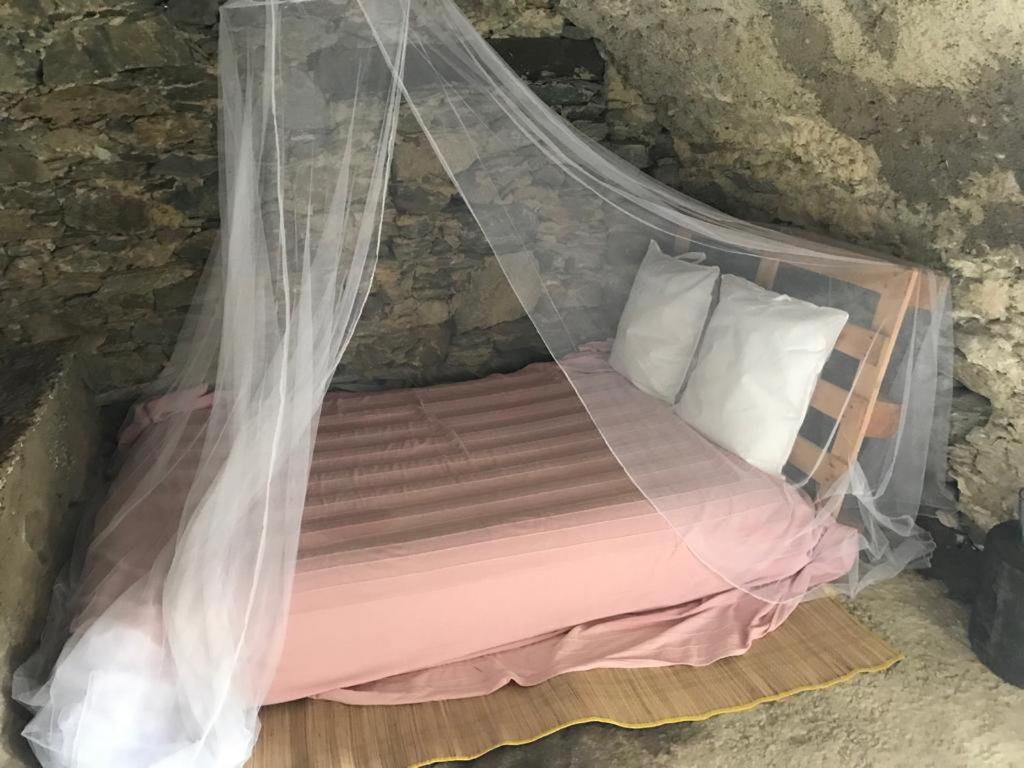 A cantinella une cave a fromage au centre corse nuit insolite Corse Santa Lucia di Mercurio 4