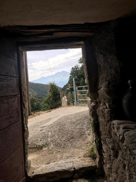 A cantinella une cave a fromage au centre corse nuit insolite Corse Santa Lucia di Mercurio 5