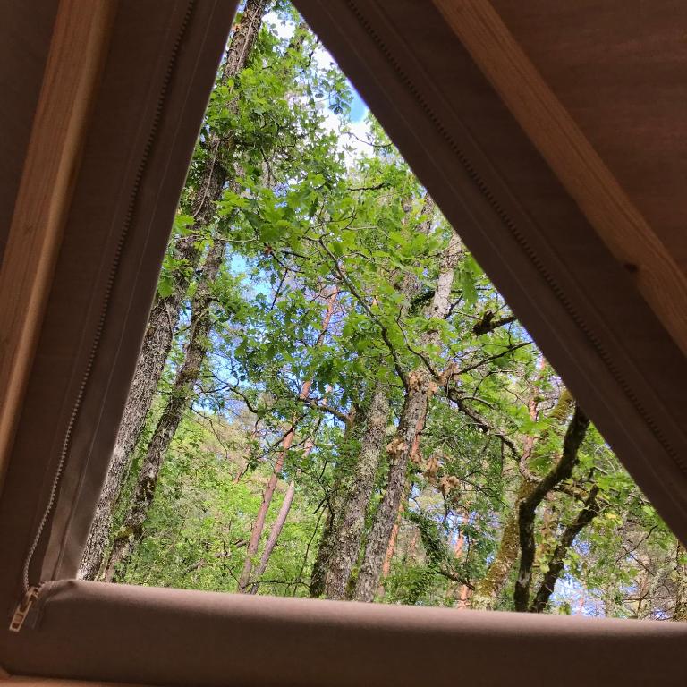 Arborea nuits insolites au coeur de la foret nuit insolite Aquitaine Montignac 14
