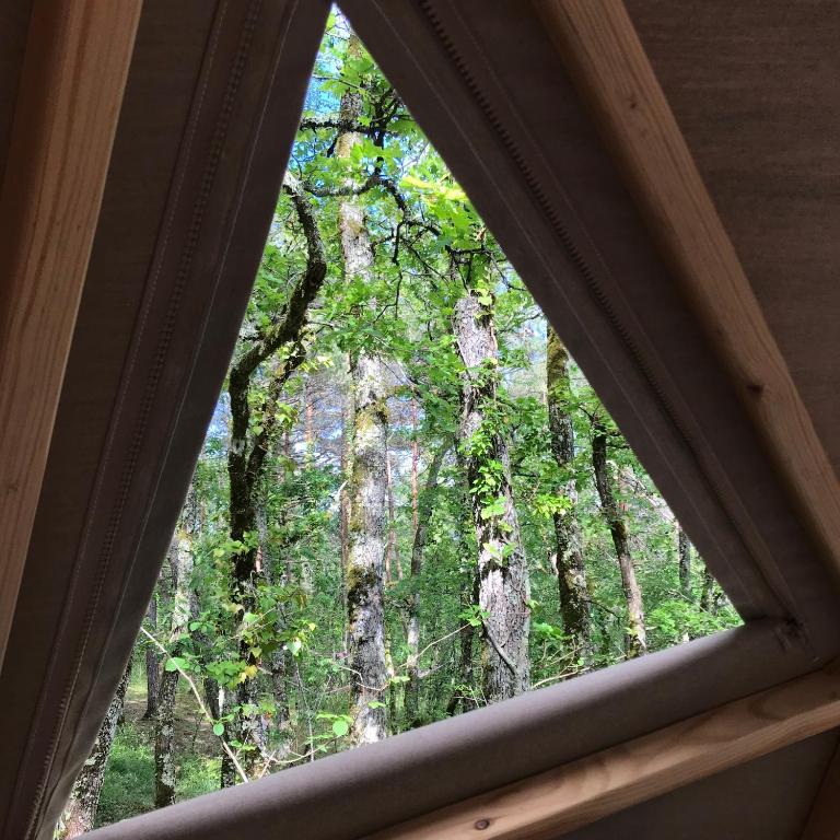 Arborea nuits insolites au coeur de la foret nuit insolite Aquitaine Montignac 9