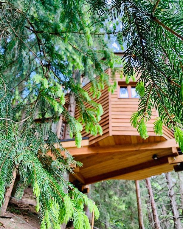 Cabane dans les Arbres de ValmoInsolite nuit insolite Rhone Alpes Valmorel