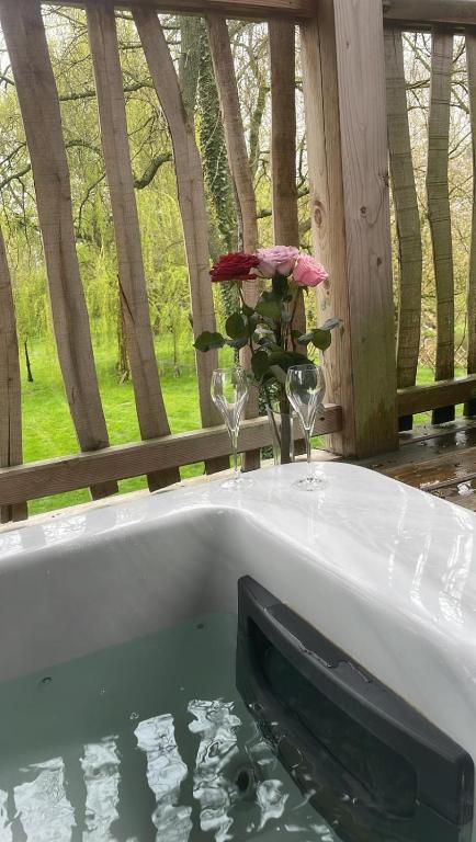 Cabane insolite 2 p Jacuzzi Domaine du Marais 91 Magnolia nuit insolite Ile de France Maisse 6