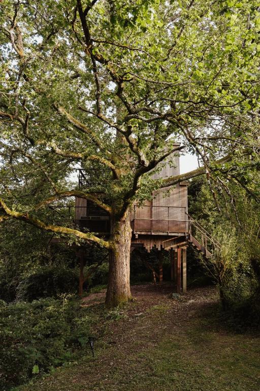 Cabane perchee dans les arbres sur lac prive nuit insolite Aquitaine Sadirac 19