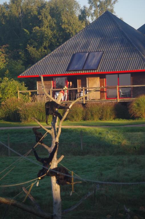 Cerza Safari Lodge nuit insolite Normandie Hermival les