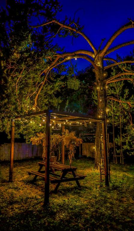 Chalet en verre sous une pluie etoilee nuit insolite Provence Alpes Cote dAzur Lantosque 9
