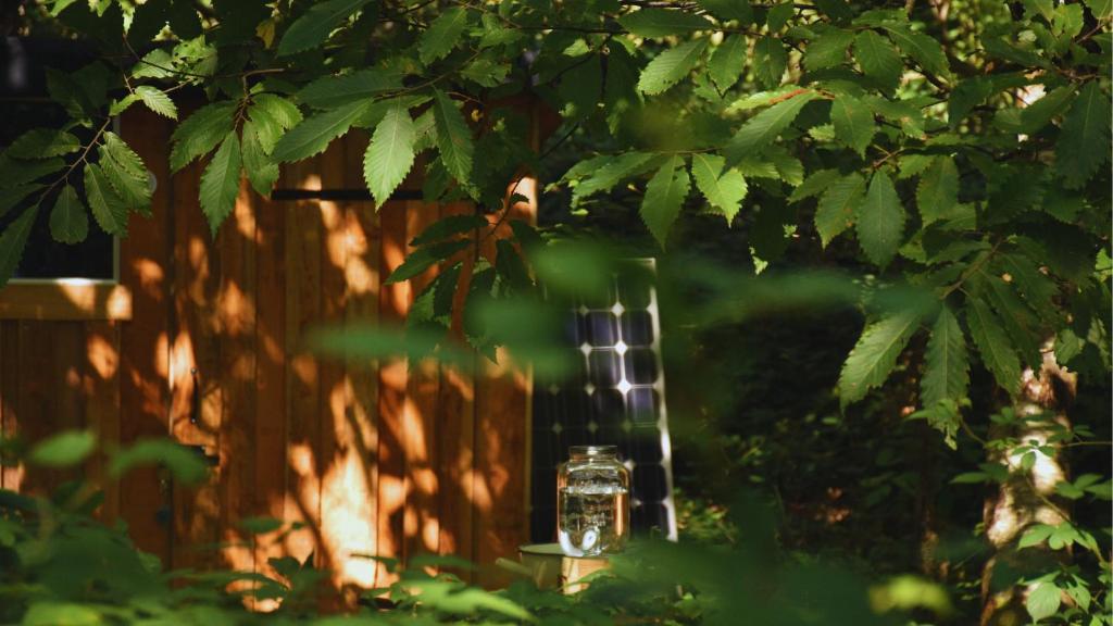 Chambre scandinave dans un parc forestier nuit insolite Limousin Marval 1