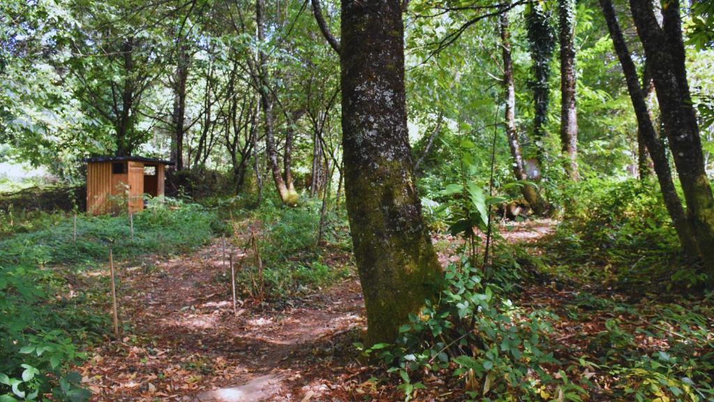 Chambre scandinave dans un parc forestier nuit insolite Limousin Marval 8