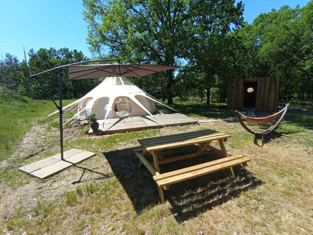 ECO CEIBA nuit insolite Midi Pyrenees Busque 19