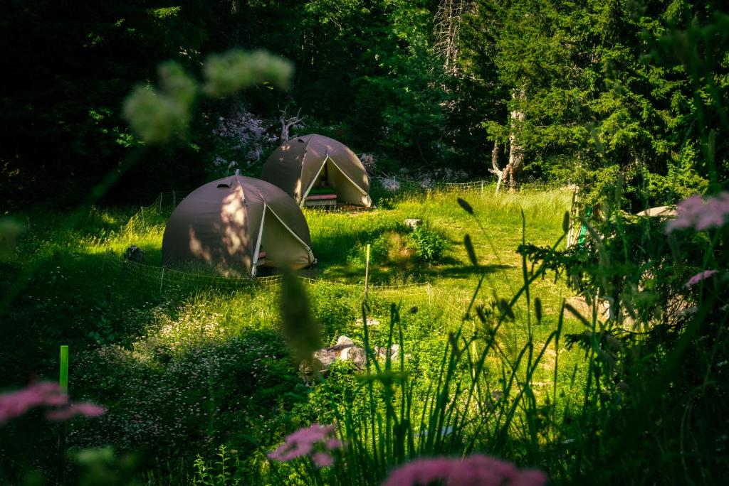 Eco Bivouac village igloos Annecy LE SEMNOZ a 20 minutes dAnnecy nuit insolite Rhone Alpes Annecy 4