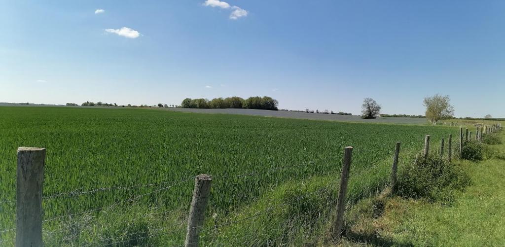 FERME DU CAROIRE nuit insolite Region Centre Azay le Ferron 18