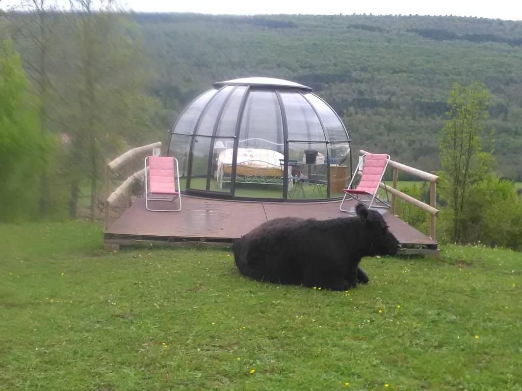 Ferme des baillards nuit insolite Midi Pyrenees Belesta 5