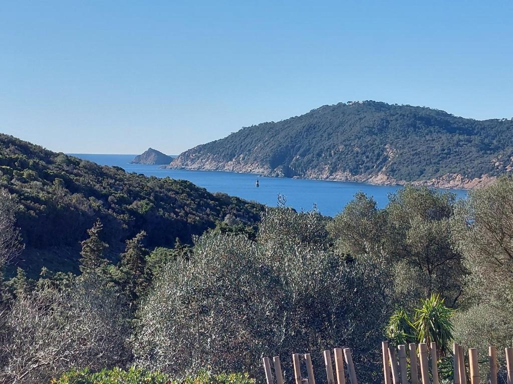 LODGES SAFARI LES LAURIERS SUR iLE DU LEVANT nuit insolite Region non trouvee Ile du Levant 9