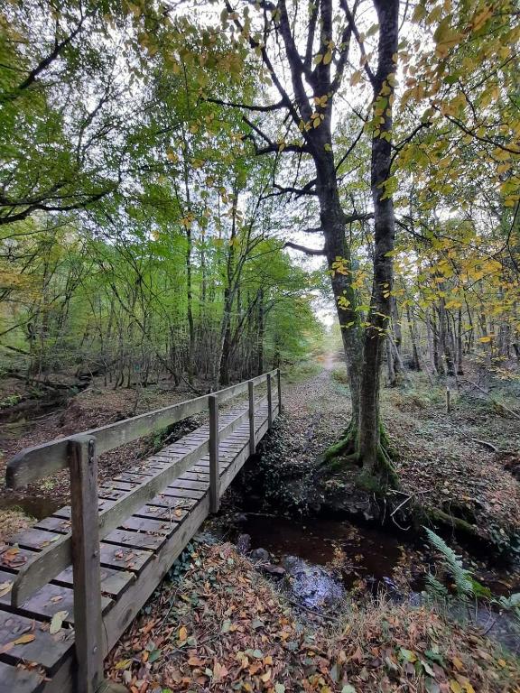 La Yourte de Troncais nuit insolite Auvergne Saint Bonnet Troncais 5