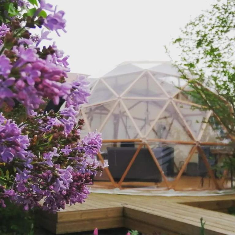 Le Dome Aux Oiseaux nuit insolite Lorraine Berig Vintrange 5