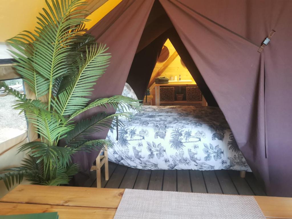 Le lodge cocooning nuit insolite Languedoc Roussillon Ansignan 4