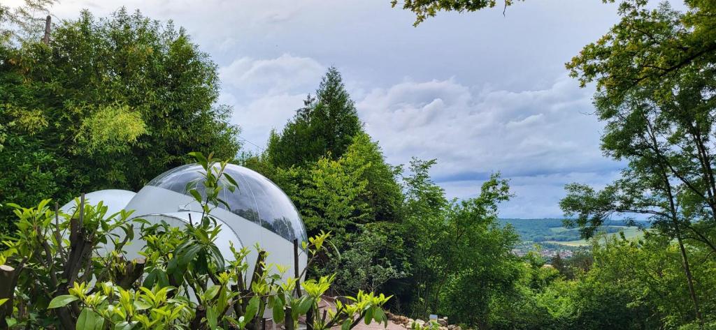 Les Bulles du Coq de Champagne nuit insolite Champagne Ardenne Dormans 7