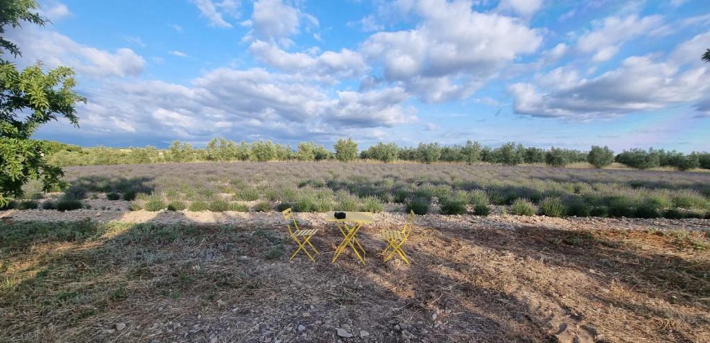 Les lavandes nuit insolite Provence Alpes Cote dAzur Valensole 9