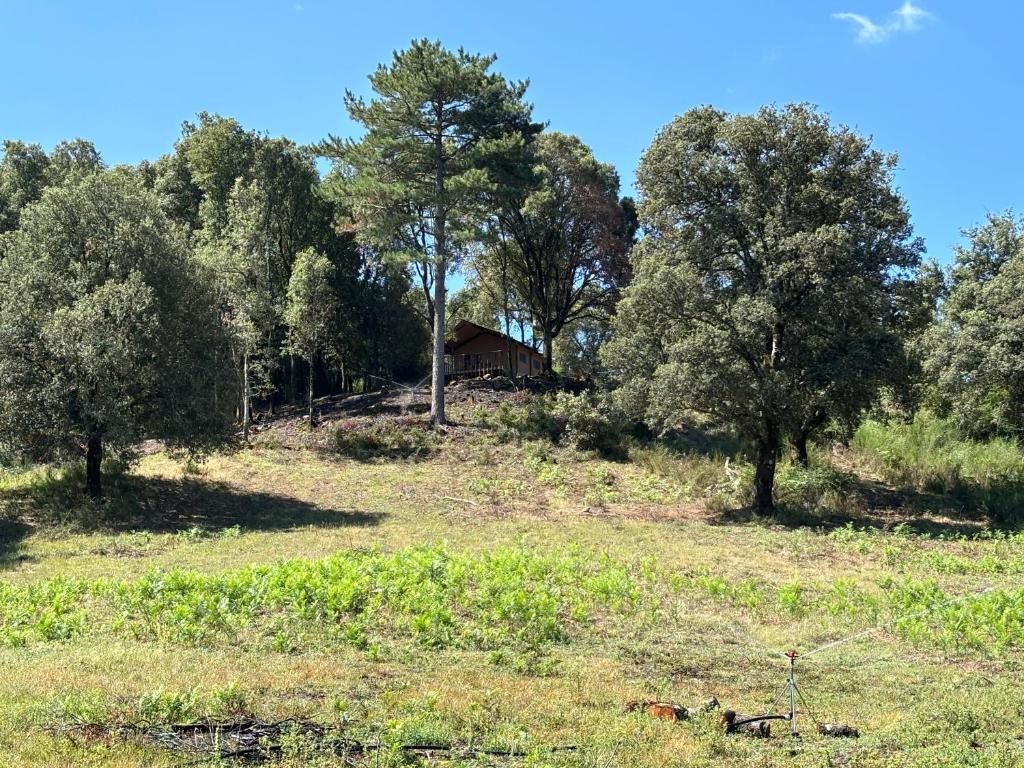 Lodge A NASSA nuit insolite Corse Olivese 14