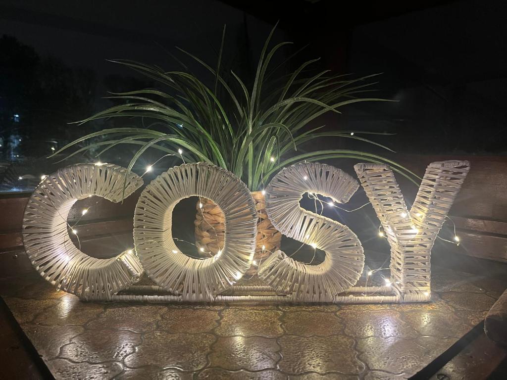 Peniche Amadeus a 50m des JO 2024 et proche Disney nuit insolite Ile de France Torcy 10