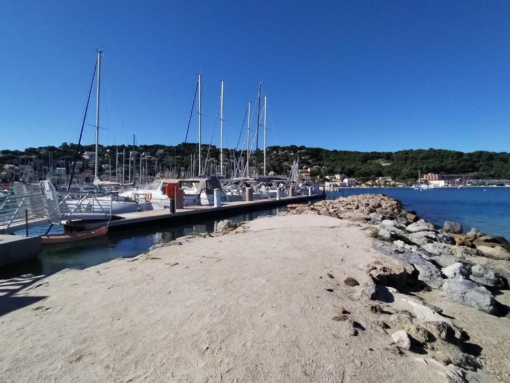 Taiaut nuit insolite Provence Alpes Cote dAzur La Seyne sur Mer 3