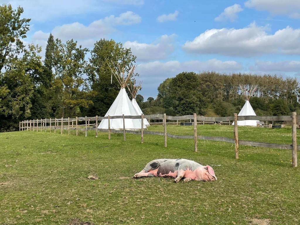 Terra Tipike Tipi a la ferme entre Terre et Mer nuit insolite Bretagne Trebry 18