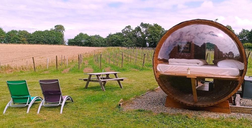 Tonneau bulle insolite vue sur vignoble nuit insolite Bretagne Pouldergat 6