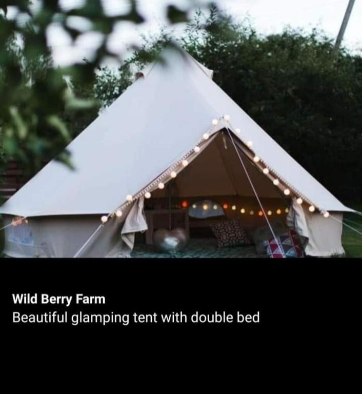 Wildberry cycling nuit insolite Pays de la Loire Lignieres Orgeres 7