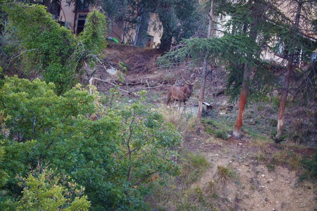 Yourte Nomade nuit insolite Provence Alpes Cote dAzur Luceram 9