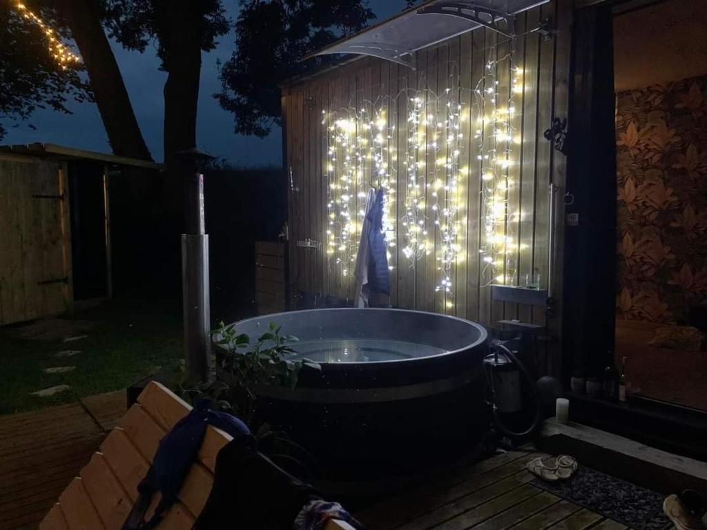amazonia nuit insolite Normandie Litteau 11