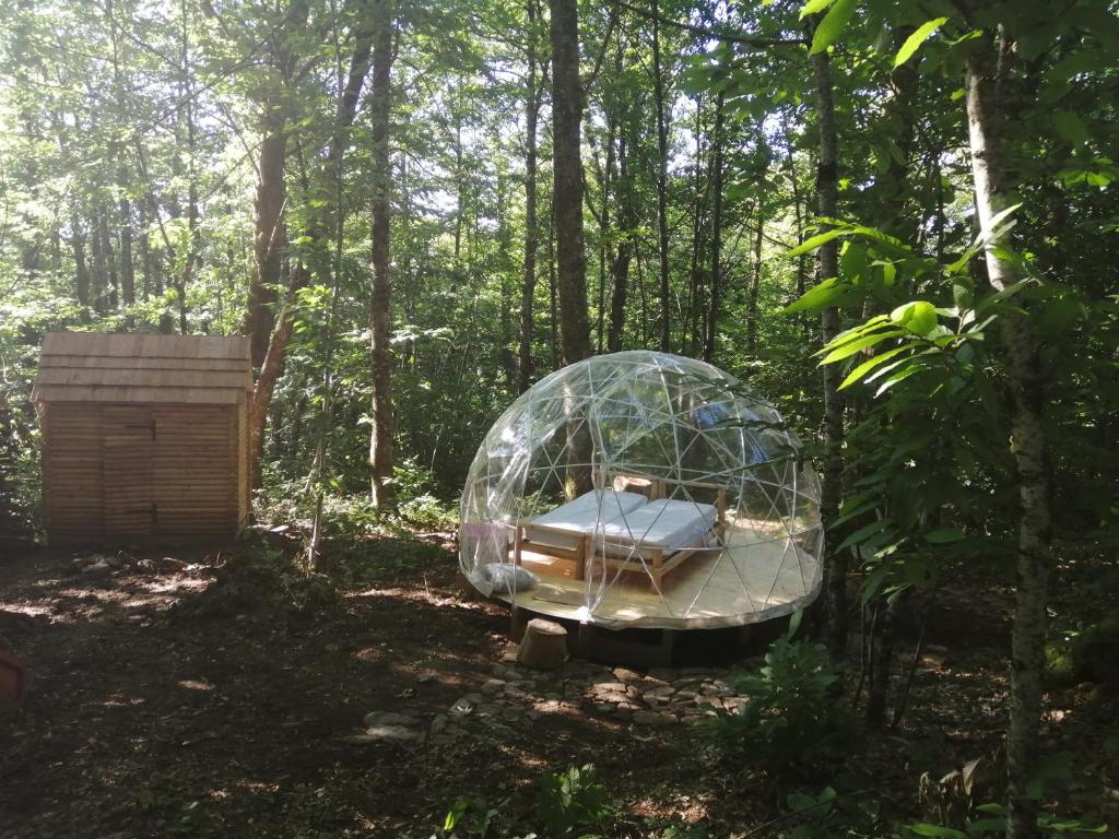bulle sous les etoiles nuit insolite Limousin Chenour 2