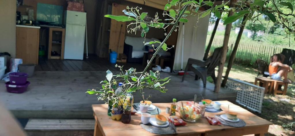 eco lodge 4 etoiles cotton prenium nuit insolite Aquitaine Vendays Montalivet 14